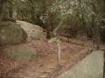 Imagen 033.jpg