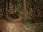 Imagen 043.jpg