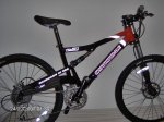 bici 008.jpg