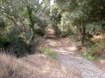 DSCN11950001.JPG