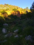 foto0466.jpg