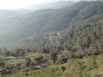 SDC10079.JPG
