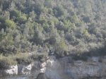 SDC10101.JPG