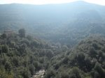 SDC10109.JPG