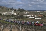 paris-nice16st4-vineyard-1000.jpg