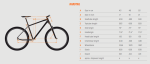 KTM Myroon 29 geometry.png