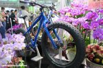 KONA-920.jpg