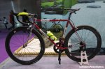 TANGE1-920.jpg