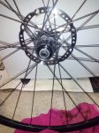 IMG_20160314_125754.jpg