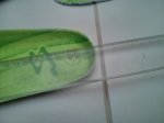 IMG_20160315_082331.jpg