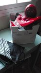 IMG_20160314_084333.jpg