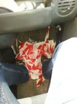 IMG-20160314-WA0002.jpg
