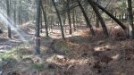 IMG-20160315-WA0001.jpg