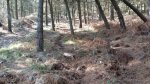 IMG-20160315-WA0002.jpg