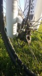 20160312_181204.jpg