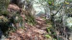 IMG-20151129-WA0089.jpg
