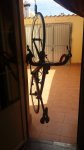 20160317_131952.jpg