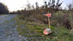 IMG-20160316-WA0045.jpg