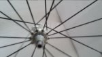 20160318_113703.jpg