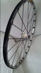 20160318_113223.jpg
