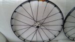 20160318_113159.jpg