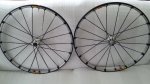 20160318_113147.jpg