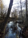 IMG_20151219_103726.jpg