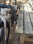 20160316_112406.jpg