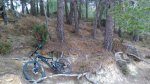 IMG_20160319_102719.jpg