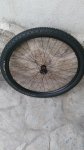 IMG_20160321_121940.jpg