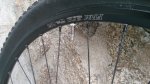 IMG_20160321_122142.jpg