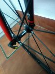 IMG_20160322_101635.jpg