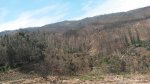 20160315_120836.jpg