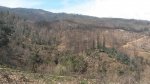 20160315_120829.jpg