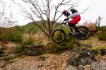 DSC08978.jpg