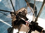 IMG-20160309-WA0028.jpg
