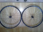 20160323_104449.jpg