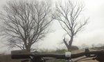 Niebla.jpg