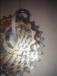 20160324_081750.jpg