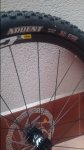 20160324_120311.jpg