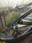20151230_101417.jpg