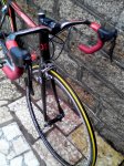 IMG_20160320_132309.jpg