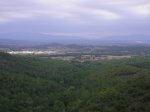 SANY0129.JPG