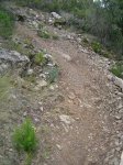 SANY0131.JPG