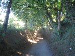 IMG_4280 (Medium).JPG