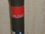 fox 005.jpg