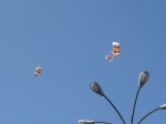 DSC03066.JPG