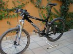 bici 018 (Large).jpg