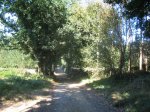 IMG_4297 (Medium).JPG