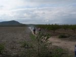 P1010843.JPG